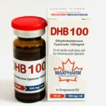 DHB 100 (Dihydroboldenone Cypionate)